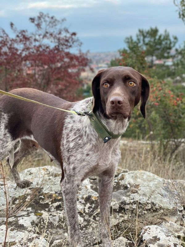 � ����� ���� ��� ��� ���������� ������, ������� �������� ������� �� ���� ���