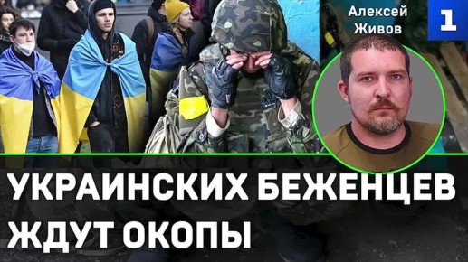 Украинских беженцев, находящихся на Западе, ждут окопы