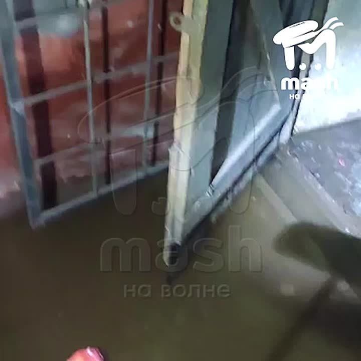 ��������� ����� ��� ������ ����� � ������� ���������������� ���� ����� ������� �����