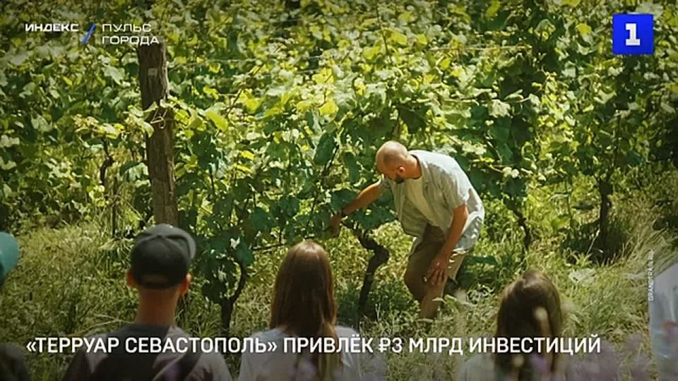 ������ �������� ������������ � 2024 �. ������ ����� 3 ���� ���