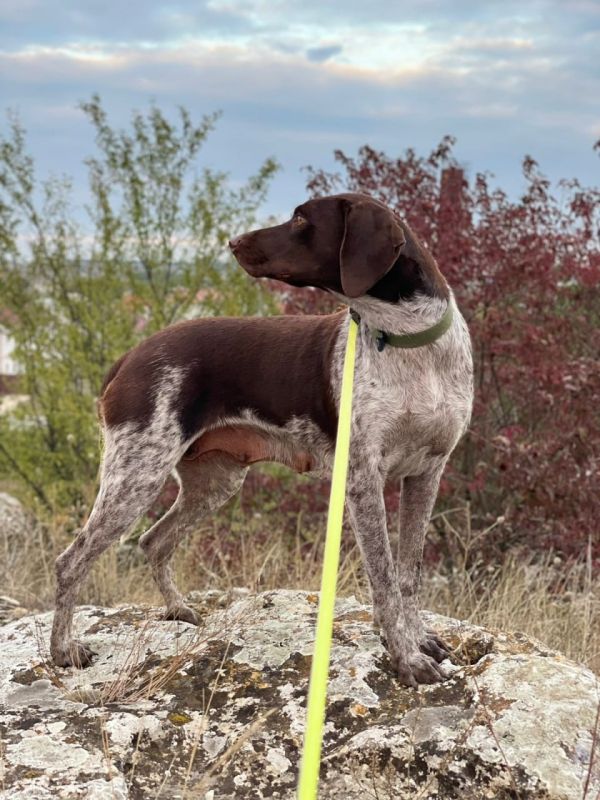 � ����� ���� ��� ��� ���������� ������, ������� �������� ������� �� ���� ���