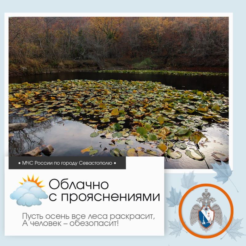 ������ ����, �����������!. �� ������ ��������������, 22 ������� � ����������� ����� ������� � ������������