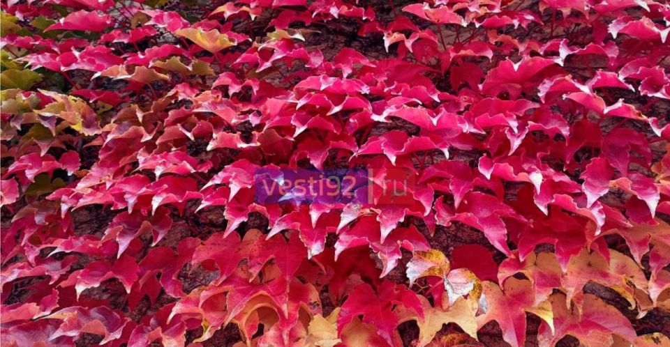 Доброе утро, Севастополь!. Сегодня ожидается пасмурная погода, после полудня вероятен дождь