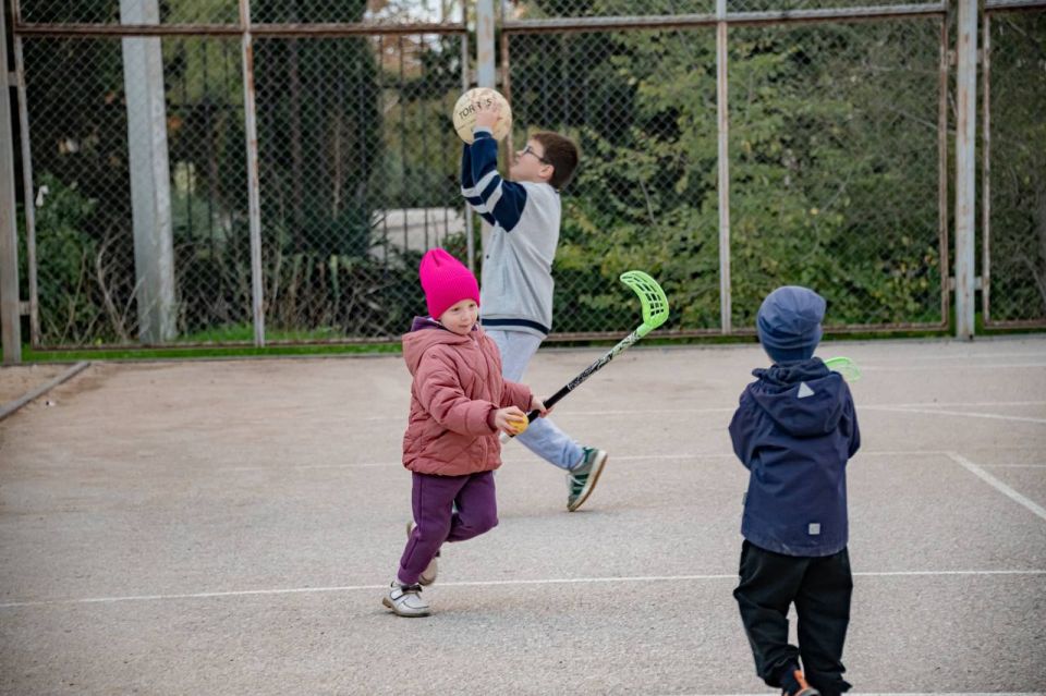 � ��������������� ������ ������������ ���������� ����������