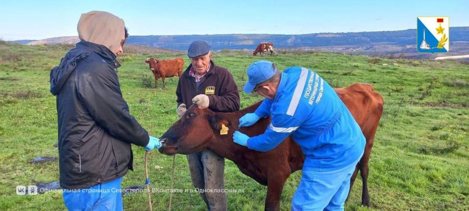 ������������ �������� ��������