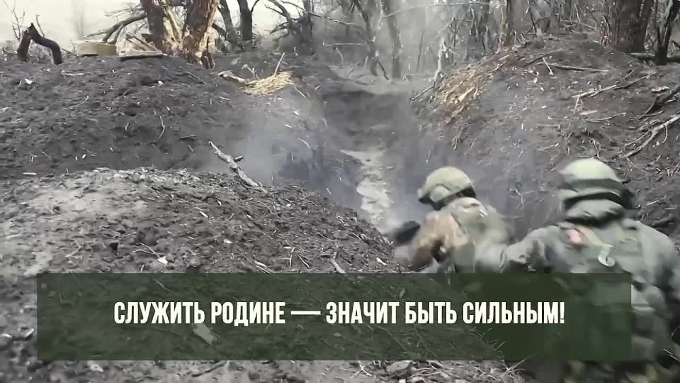 ������� �������� �������, ������ � �����: ��� ��� ��� ������������� ������� �� ��������� � ���� ���