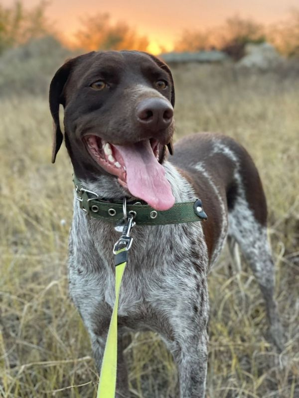 � ����� ���� ��� ��� ���������� ������, ������� �������� ������� �� ���� ���