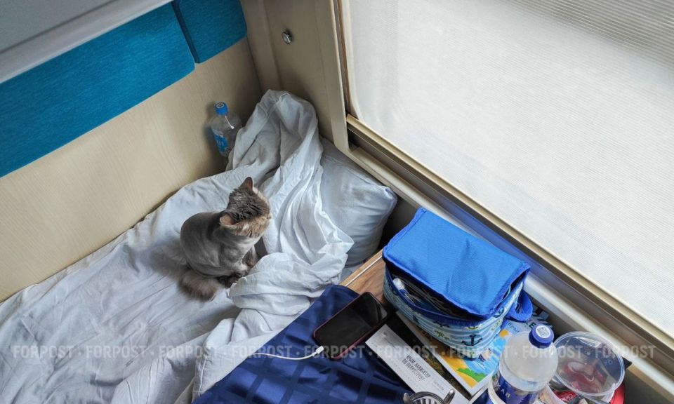 �� ������ ���������� ������� ������ �������� � ������� ��������