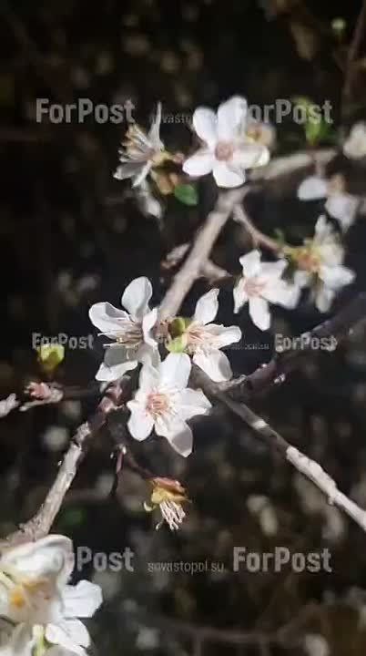 � ����� ������� � ��������������� ����� ������ �����