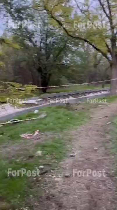 � �������� ����������� ��������� ������������ �������