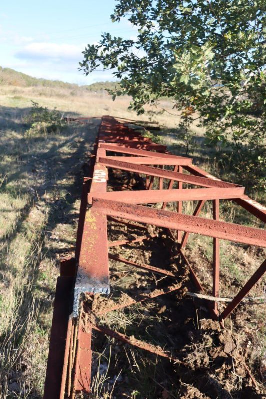 ������������������ �������� ����������� ������ ������������