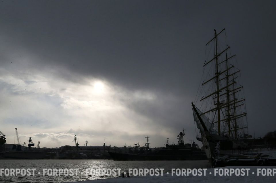 ������, ����� ������ ���� ��� ������������?