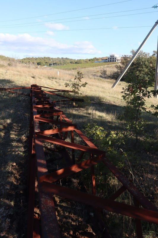 ������������������ �������� ����������� ������ ������������