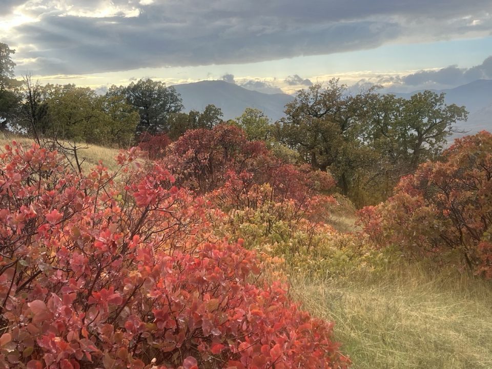 � ������ �����, ������!. � ����������� ��� ������������ �������