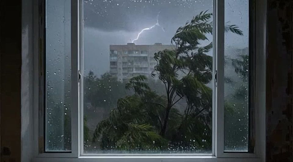МЧС предупреждает о сильном ветре и дожде ночью завтра, 24 октября