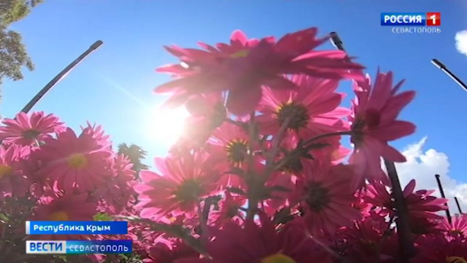 ��� ��������� �������� ����� ��������� � ��������� ������������ ����