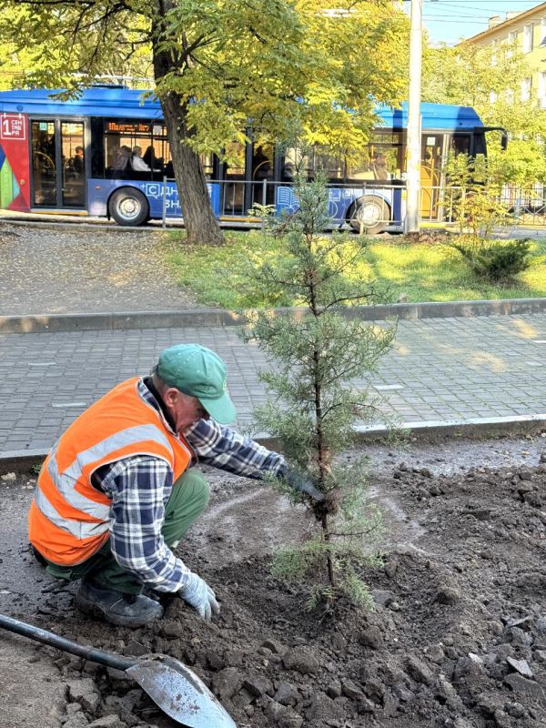 ����� ��. ������ ������� ������������ ������ ��������