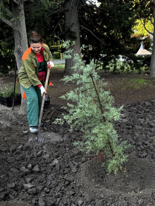 Сквер им. Рыжова сегодня преобразился новыми красками