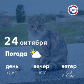 Доброе утро, севастопольцы! Сегодня, 24 октября, в городе переменная облачность