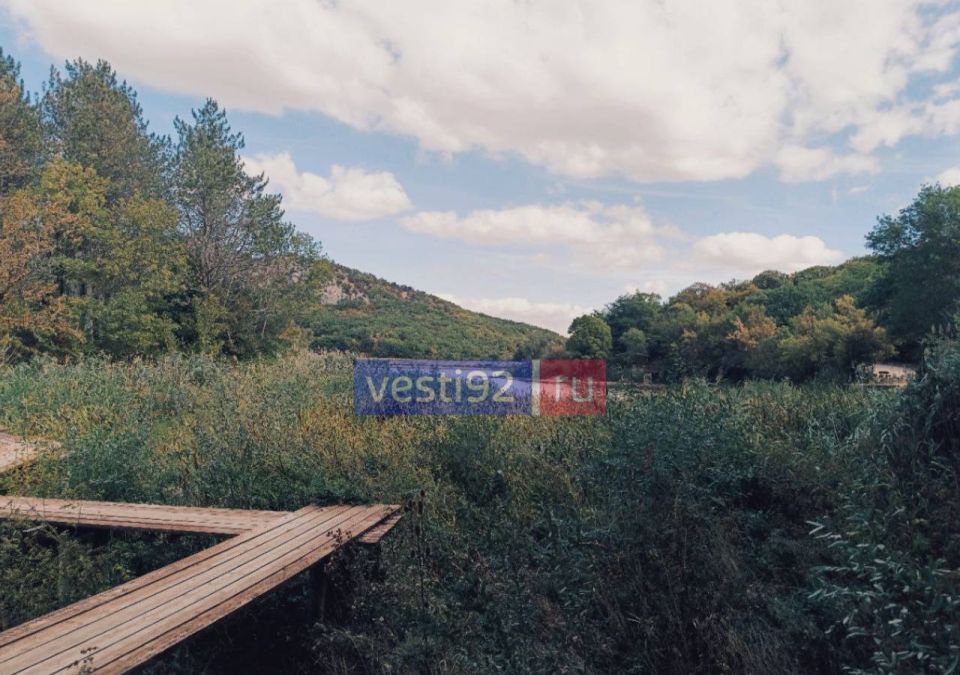 ������ ����, �����������!. ������� ����� ������� ���� ����