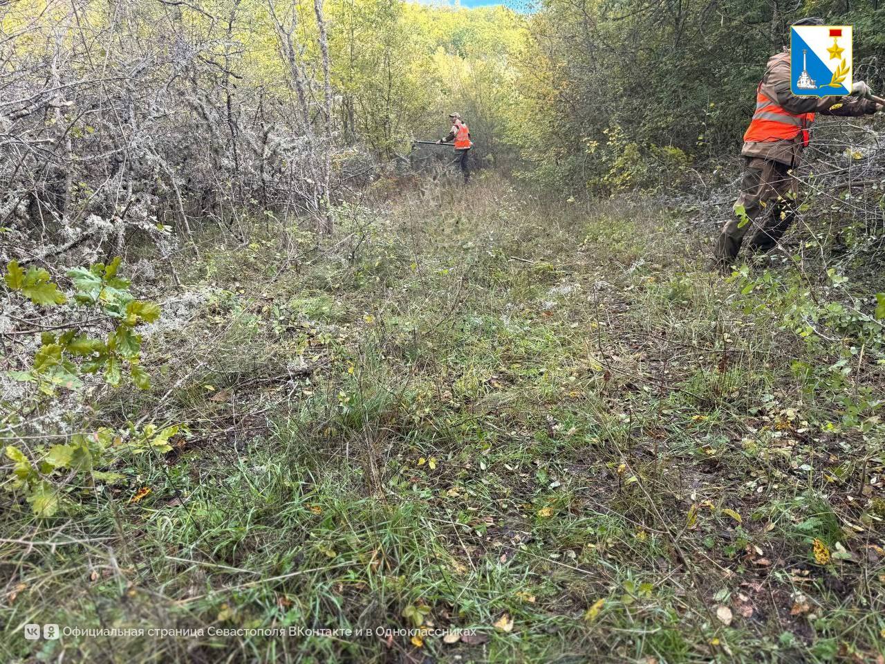 Расчистили 29 километров просек