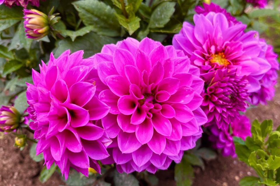 #��� �� ��������?. ��� ��������� �������� � ������ �������� � ������� �������� ����� � ���� �� ������ ����������