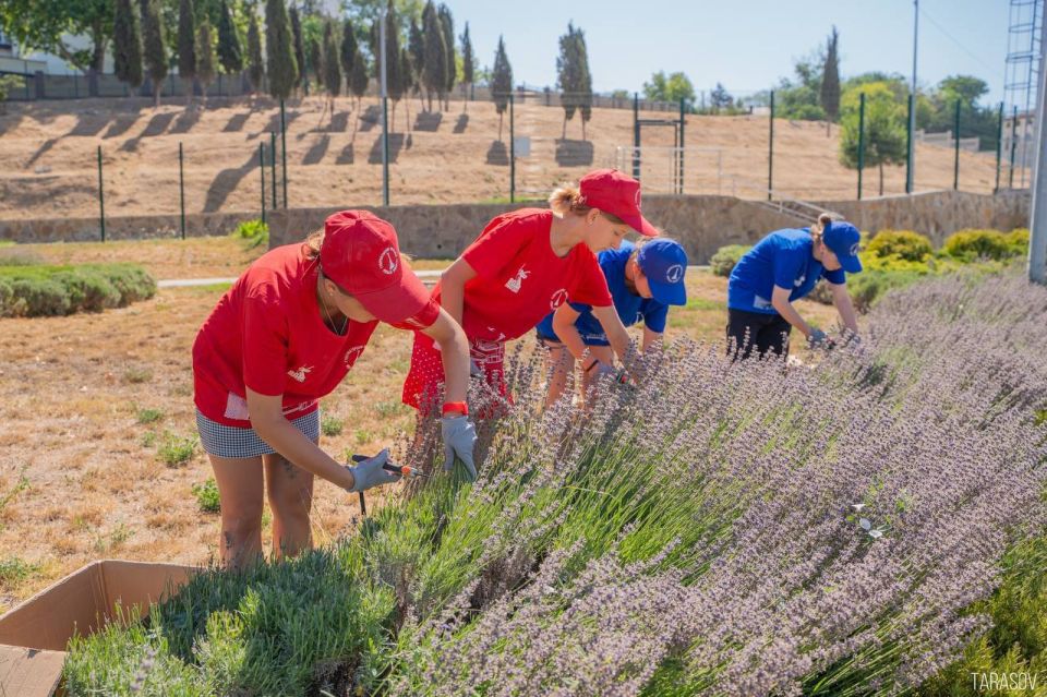 ����� ������: ��������������� ������������ ������ � ��������� �������������� �������� ������ ������� ��������������� ��������!