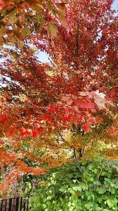 �� ��� �� ������� ������ � ��������������� ������! �������, ���� ������� ������ ����� ����� � ������ �������������