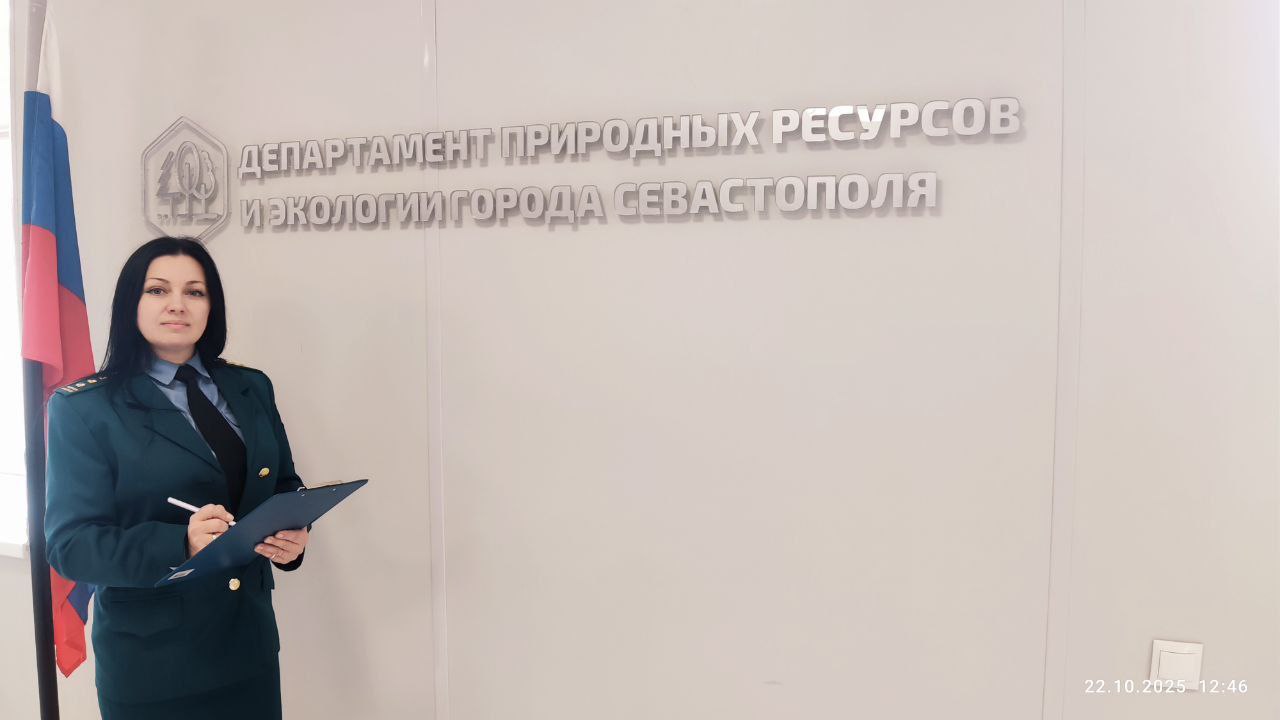 Вниманию субъектов малого и среднего бизнеса!