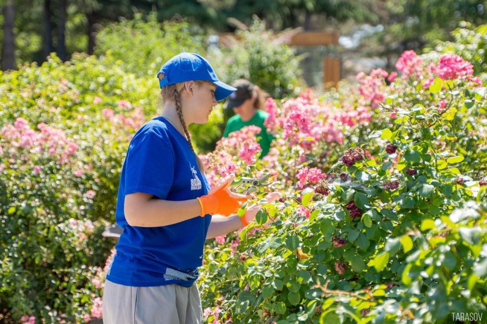 ����� ������: ��������������� ������������ ������ � ��������� �������������� �������� ������ ������� ��������������� ��������!