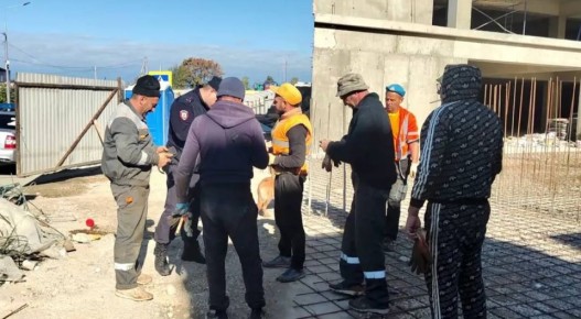 В Севастополе обнаружили мигрантов, которым необходимо покинуть страну