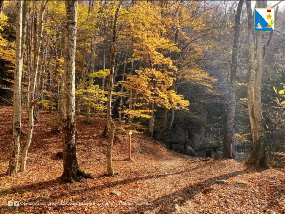 3 ������ ���������� ������������� �����