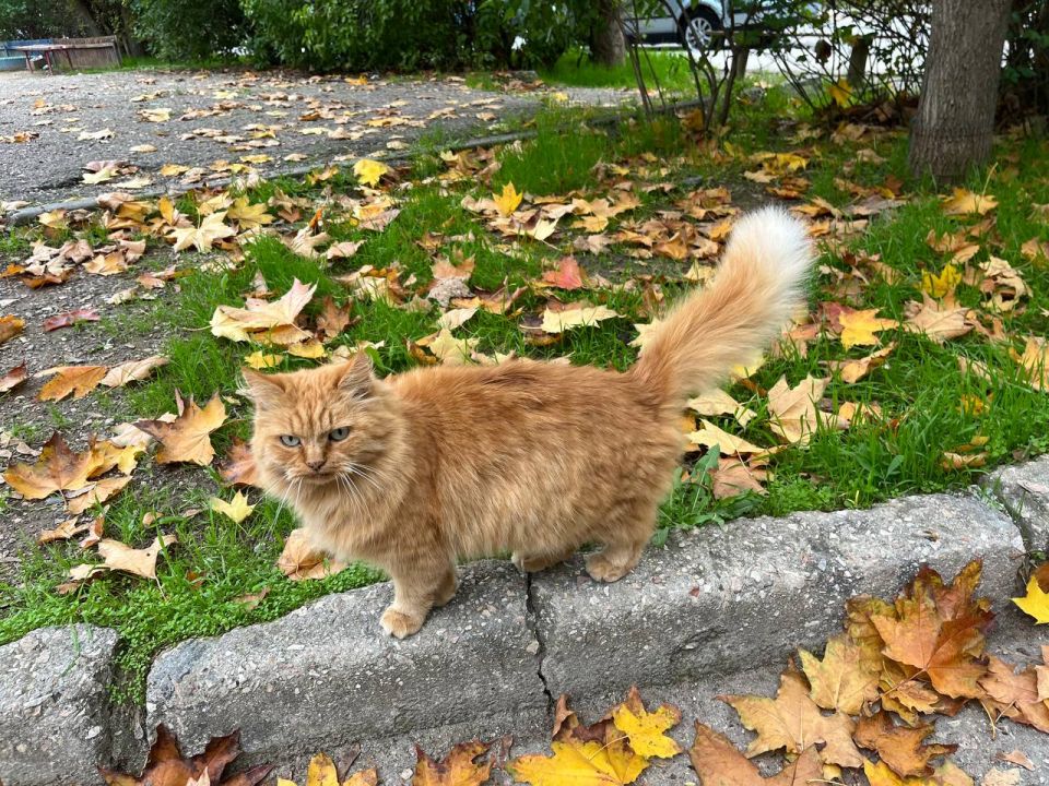 ���� ����� � ��������� ���������� ����������!