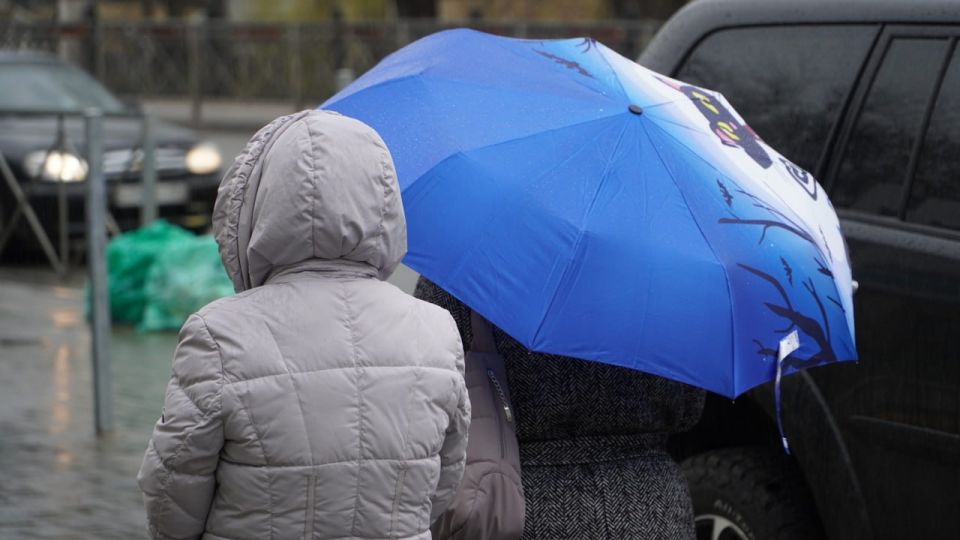 ������� ������ � ����� �� 24 �������