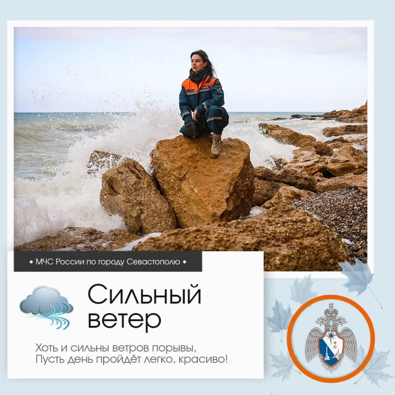 ������ ����, �����������!. �� ������ ��������������, 24 ������� � ����������� ����� ���������� ����������