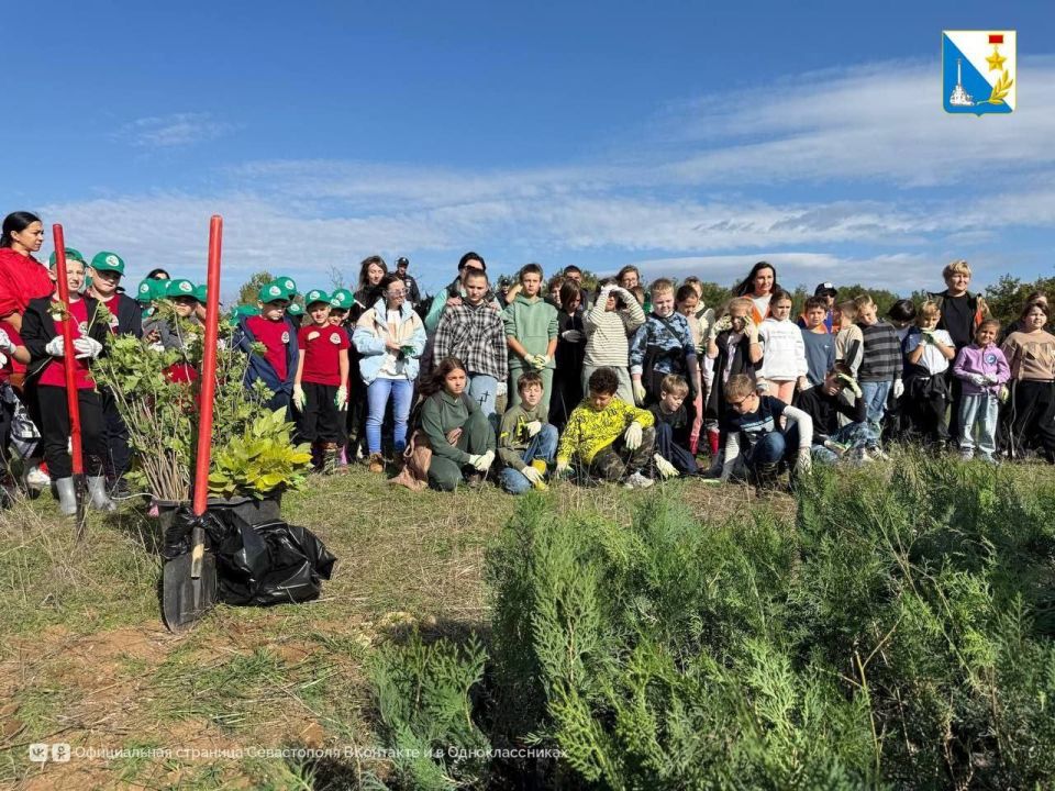 ��������������� ��������� ������� ������� � �������������� ����