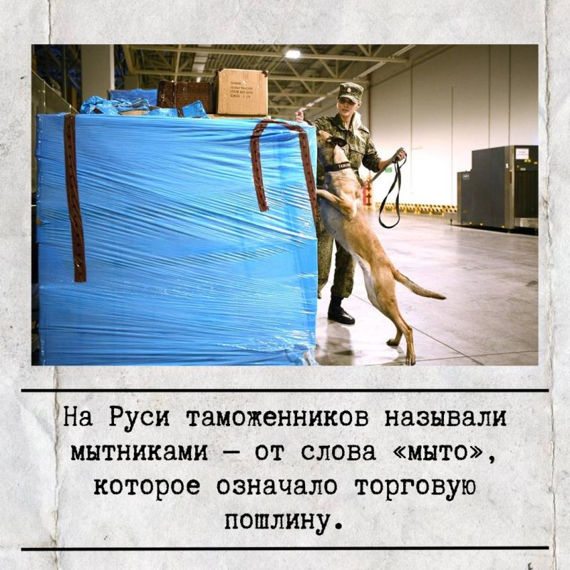 25 ������� � ������ ���������� ���� �����������