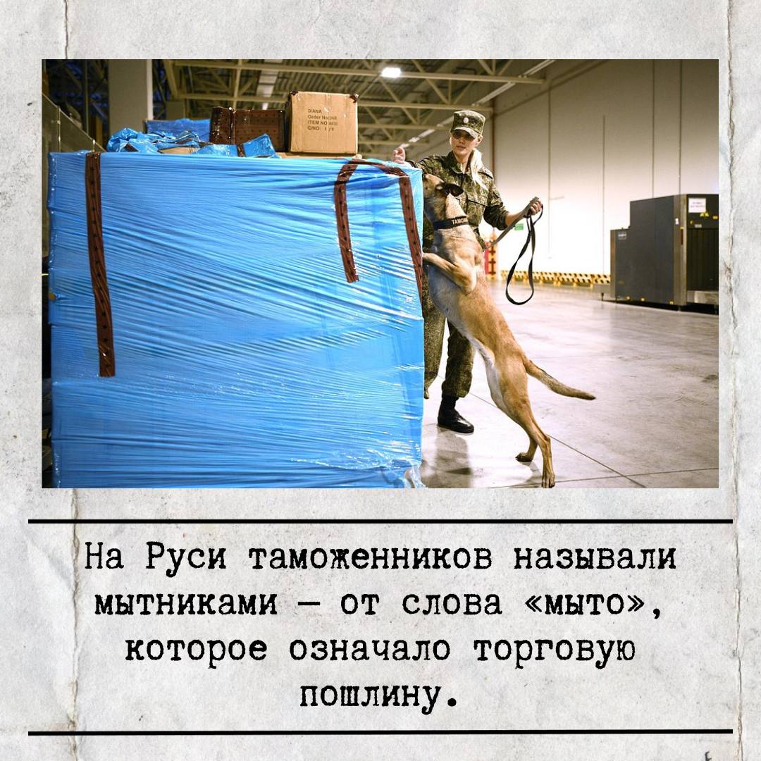 25 октября в России отмечается День таможенника 25 октября в России отмечается День таможенника