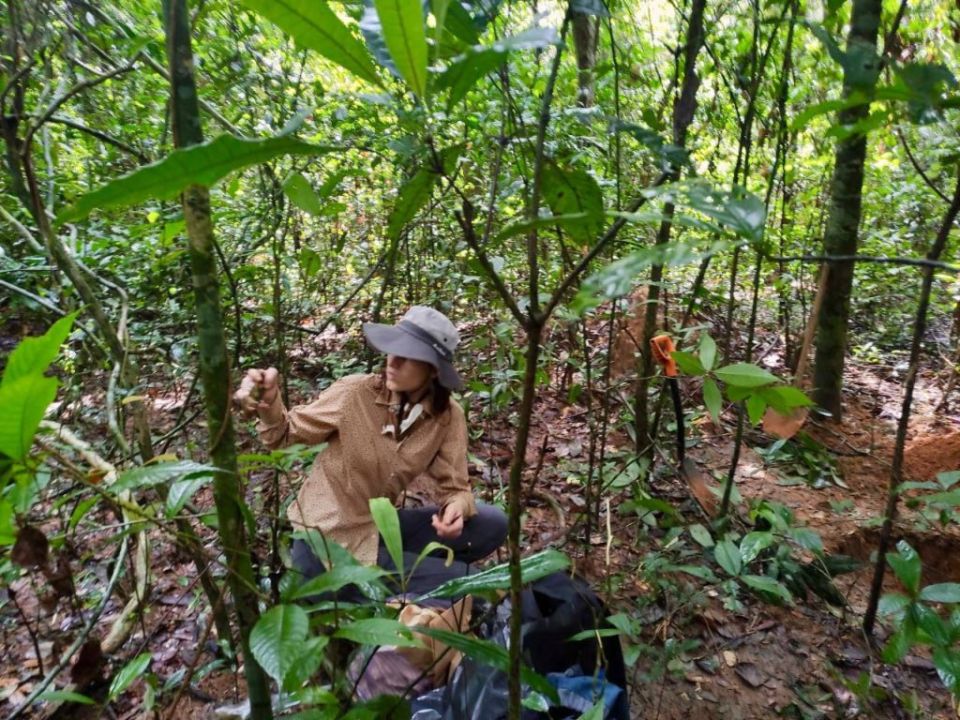 Учёные из Севастополя исследовали тропические леса Вьетнама