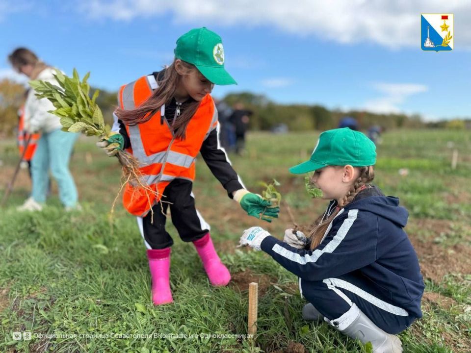 � ������������� ����������� ���������� ������� �������� �� ������������������