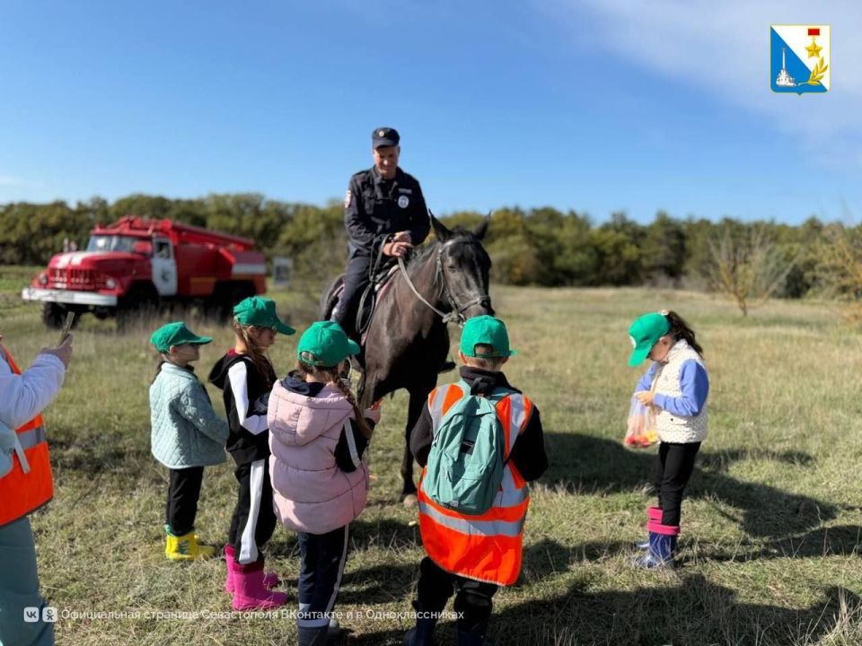 ��������������� ��������� ������� ������� � �������������� ����