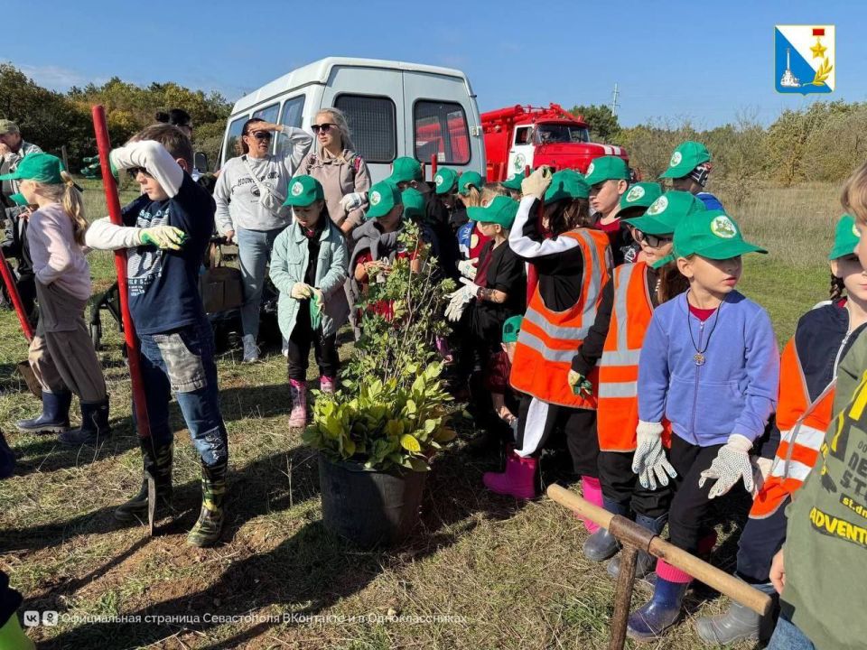 ��������������� ��������� ������� ������� � �������������� ����