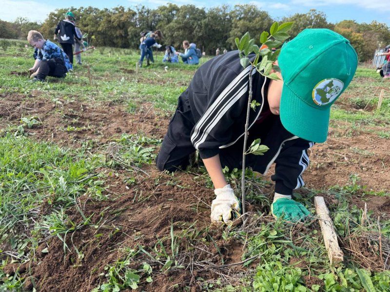 � ����������� ��������� ��������������� ���