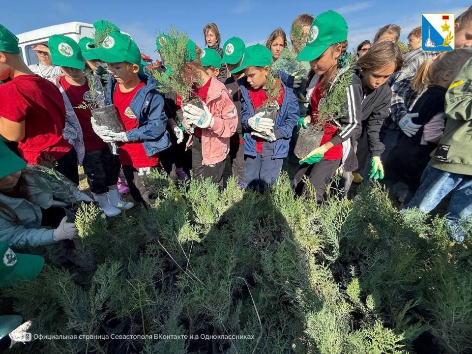 � ������������� ����������� ���������� ������� �������� �� ������������������