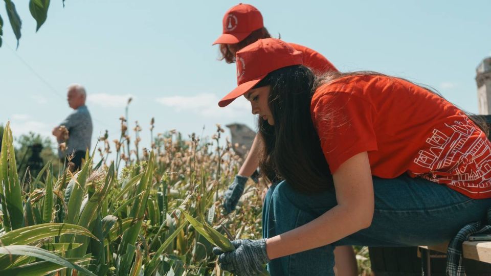 ����� ����������: ��������������� ������������ ������ � � ������ �������������� �������� �������� ��