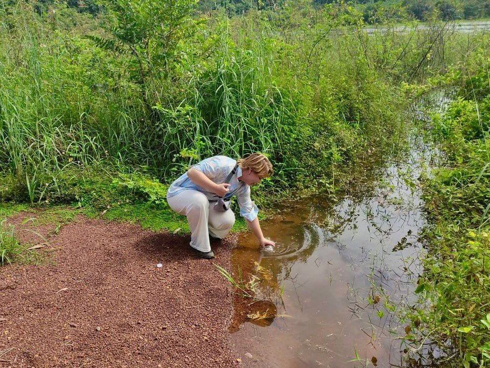 ������ �� ����������� ����������� ����������� ���� ��������