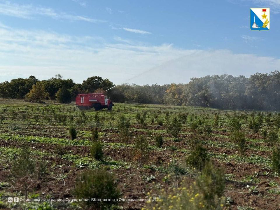 ��������������� ��������� ������� ������� � �������������� ����