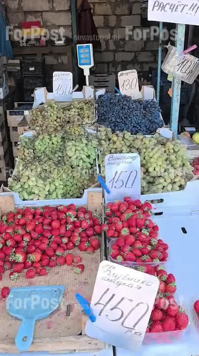 ��������������� ����. �����, ������, �������, ���