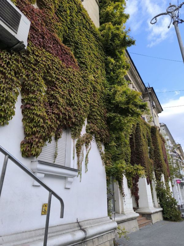 ������� ���������� ����, ������!