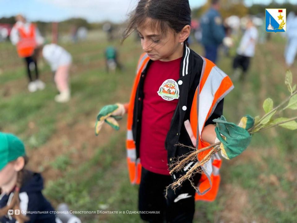 ���� ������� ��������������� ���